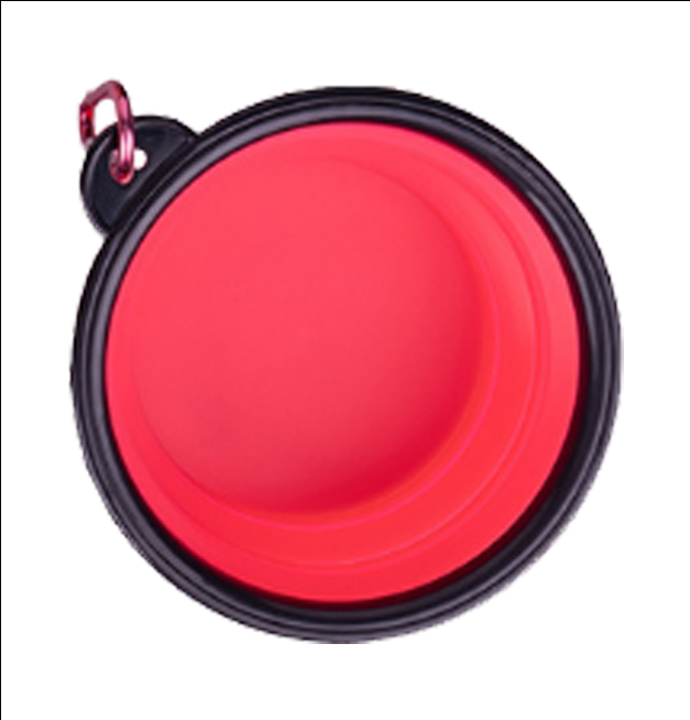 Collapsible Travel Bowl