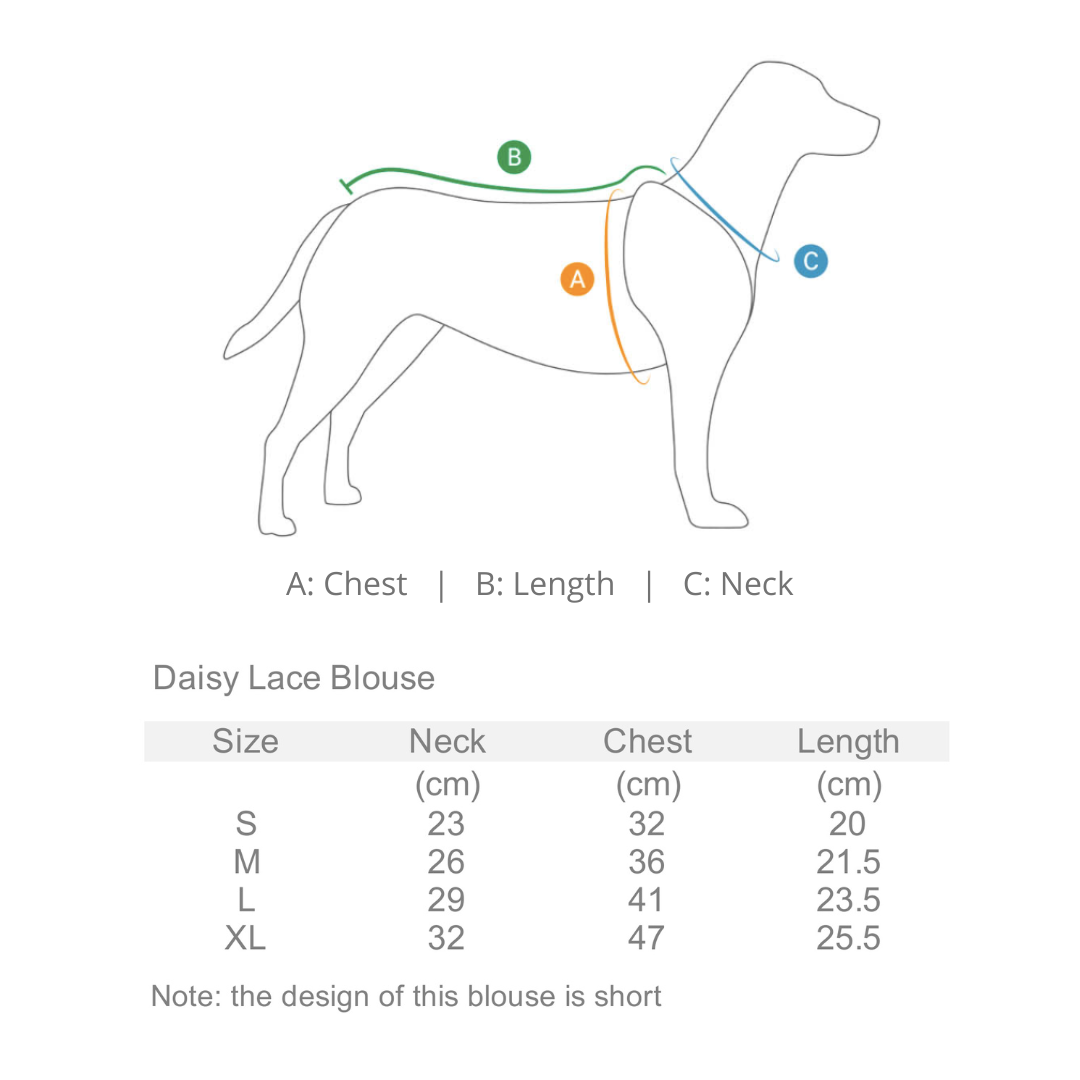 Daisy Lace Blouse