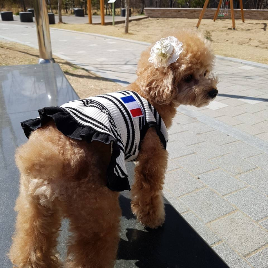 V Stripe Frilly Dress