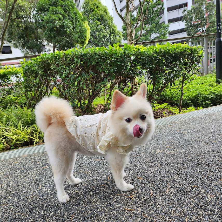 Broderie Lace Blouse