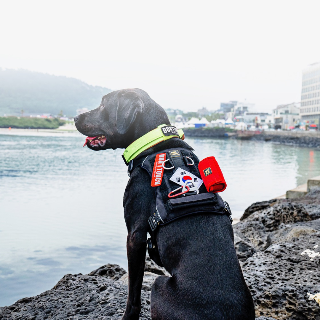 INTERLAKEN Custom Patch | Personalise