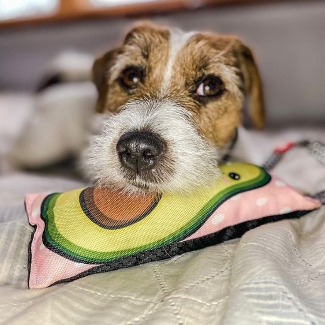 Squeaky Toy with Handle | Hypoallergenic