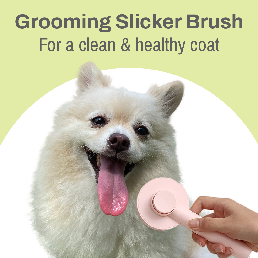 Grooming Slicker Brush