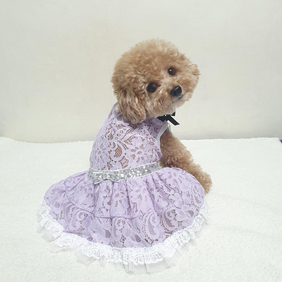 Princess Lace Dress