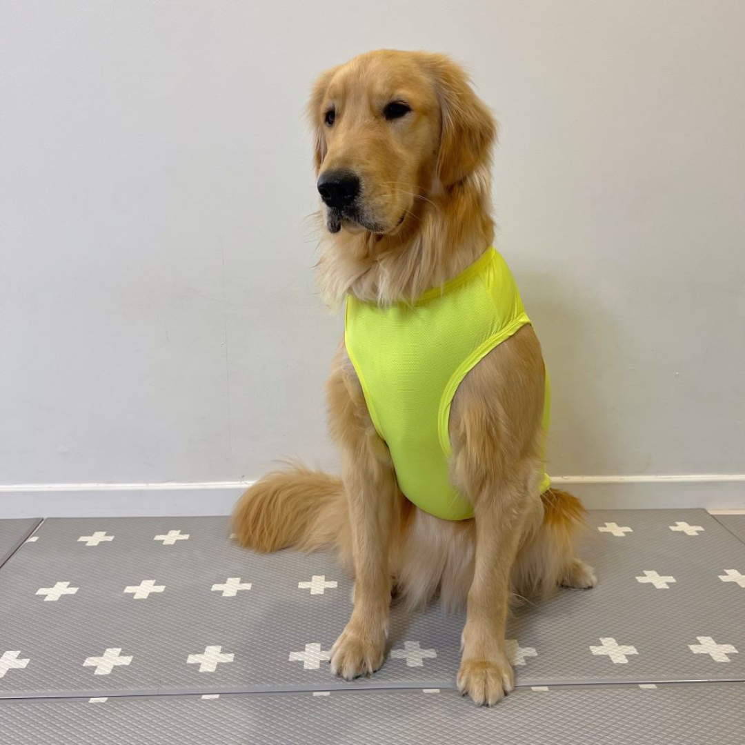 Smiley Cooling T-shirt | Sun Protection