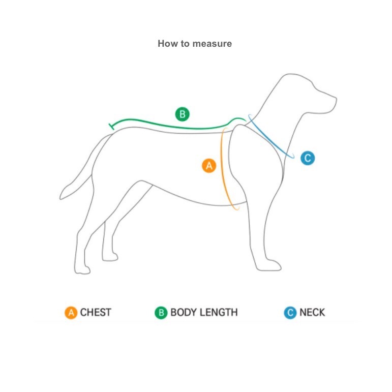 Hawaiian Shirt Pineapple