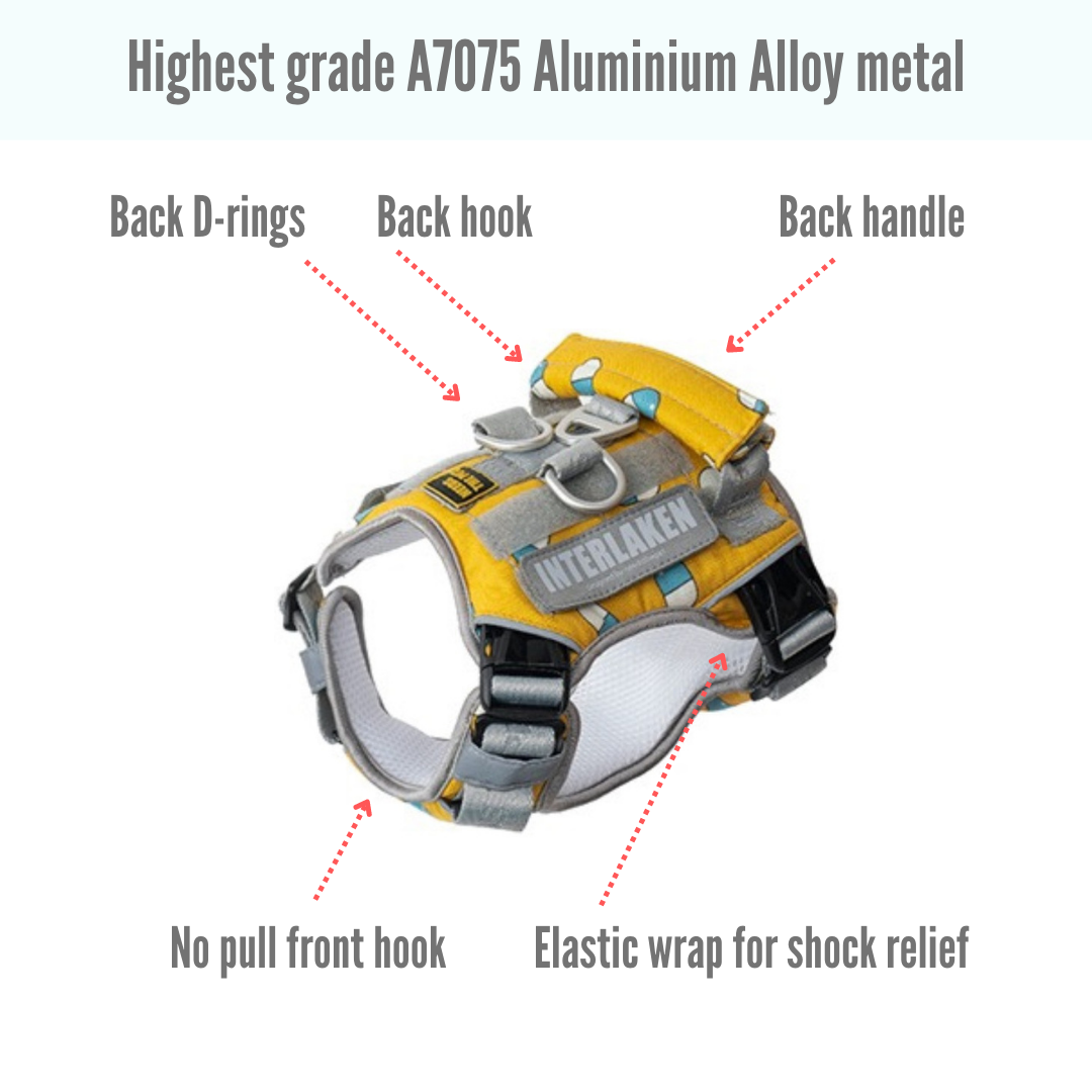 INTERLAKEN No-Pull Air Mesh Harness