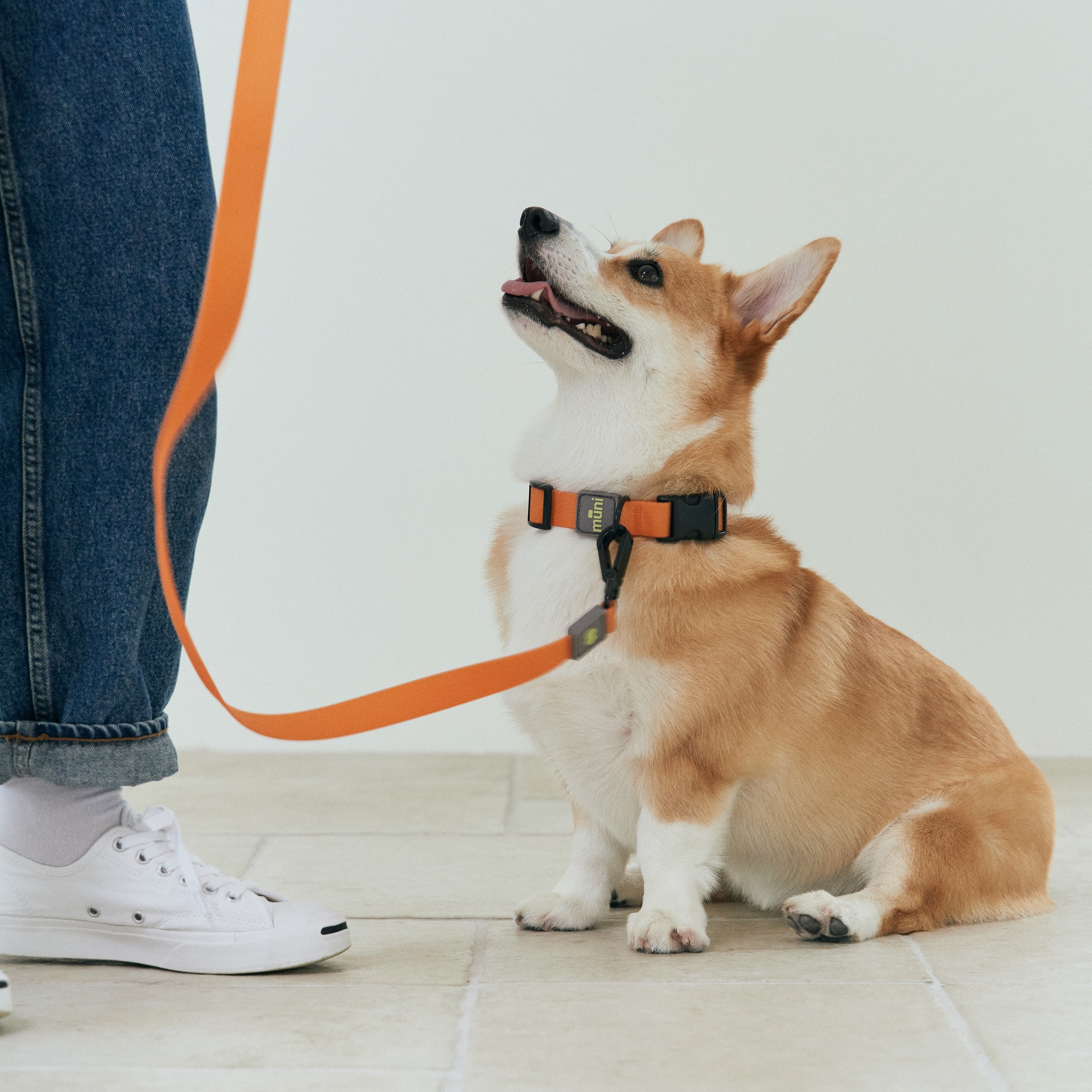 Munikund Waterproof Leash