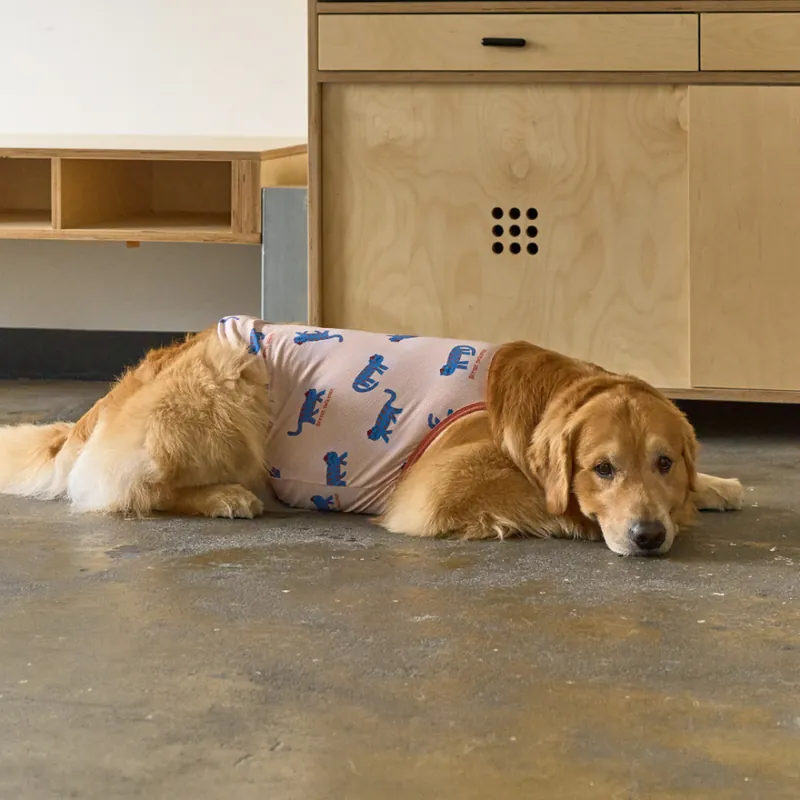 Cooling T-shirt Titi | Insect Shield