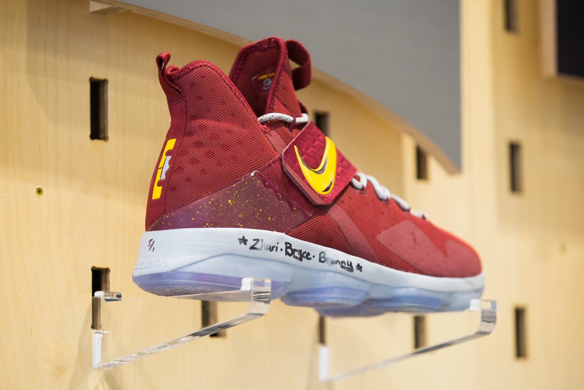 lebron shoes