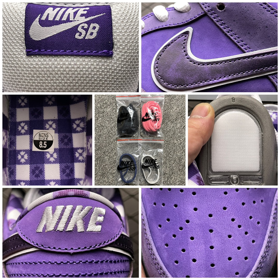 Concepts × Nike SB Dunk Low "Purple Lobster BV1310-555