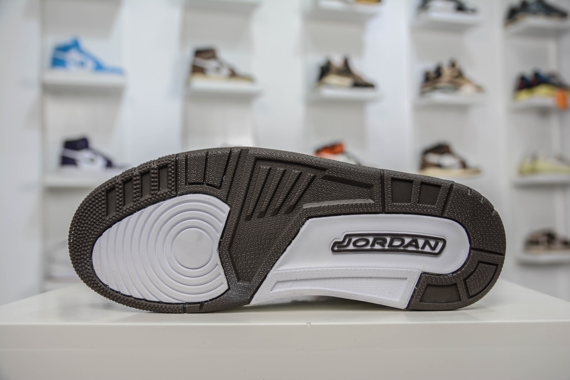 Nike Air Jordan 3 Retro "Mocha" (2018）(136064-122)