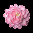 2.5”flower（Color:Pink）