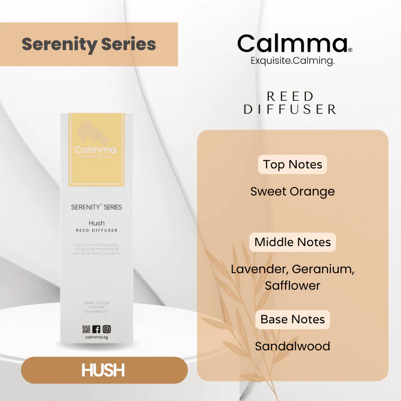 REED DIFFUSER (above $80 FREE 1x 50ML Reed Diffuser)