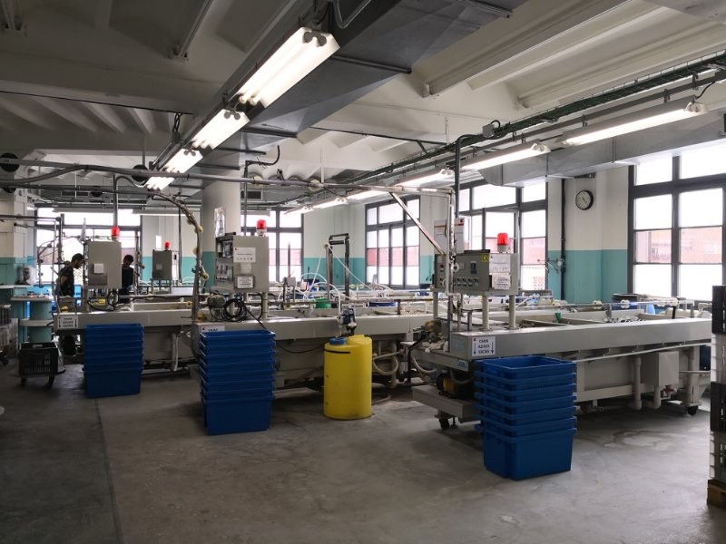 How to set up zipper plating & lacquering workshop? - Follow QLQ to get what you need