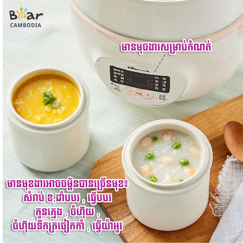 Slow Stewer(ឆ្នាំងរំងាស់អគ្គិសនី)