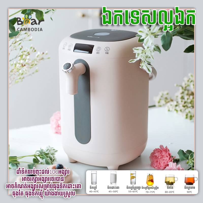 Electric Kettle(កំសៀវអគ្គិសនី)