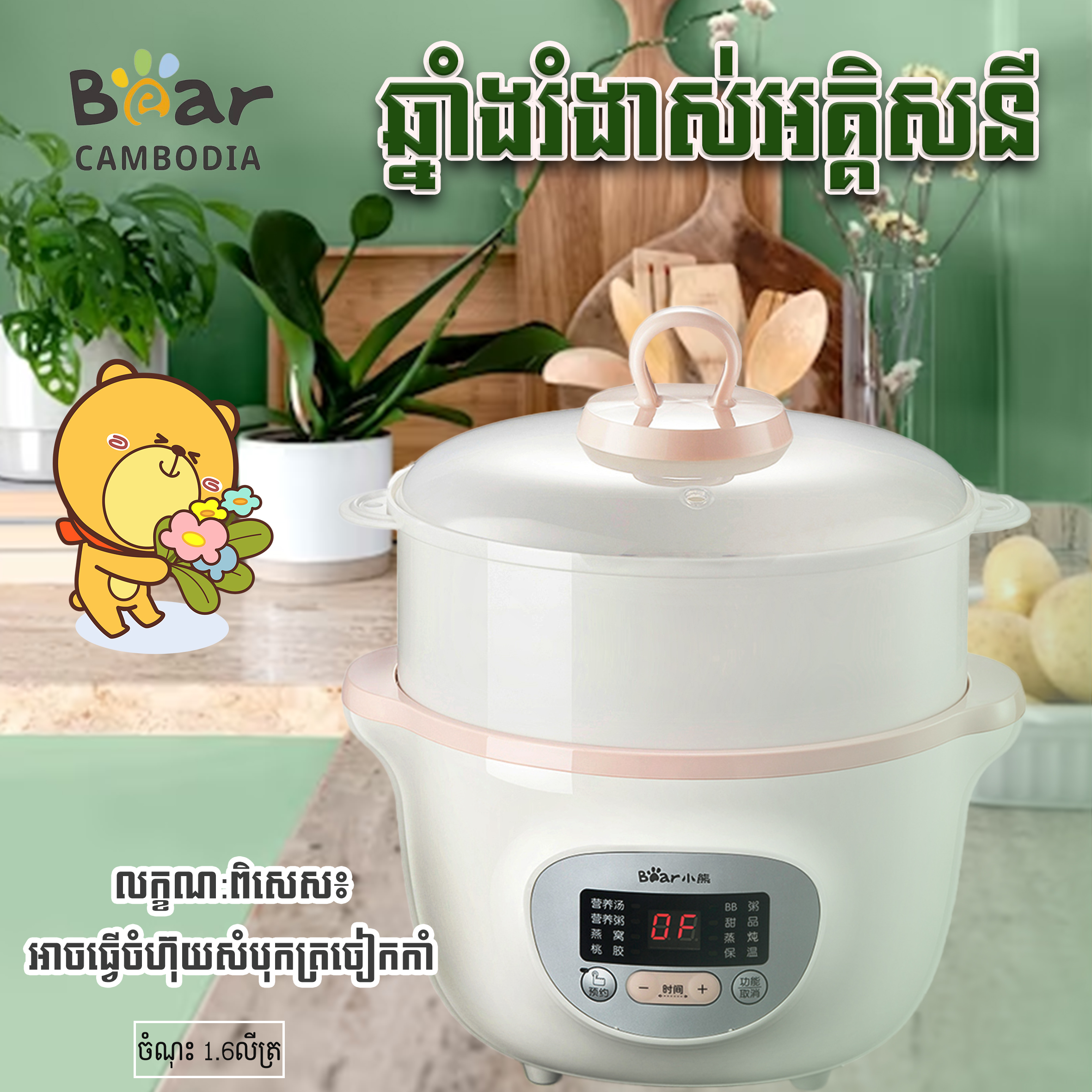 Slow Stewer(ឆ្នាំងរំងាស់អគ្គិសនី)