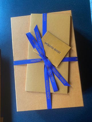 Louis Vuitton ショルダーバッグ LOUIS VUITTON＊GASTON WEARABLE モノグラムウォレット＊送料込(20)