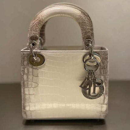 Dior ハンドバッグ 超希少 Lady Dior ミニ〜アリゲーターヒマラヤ〜Limited Edition(3)