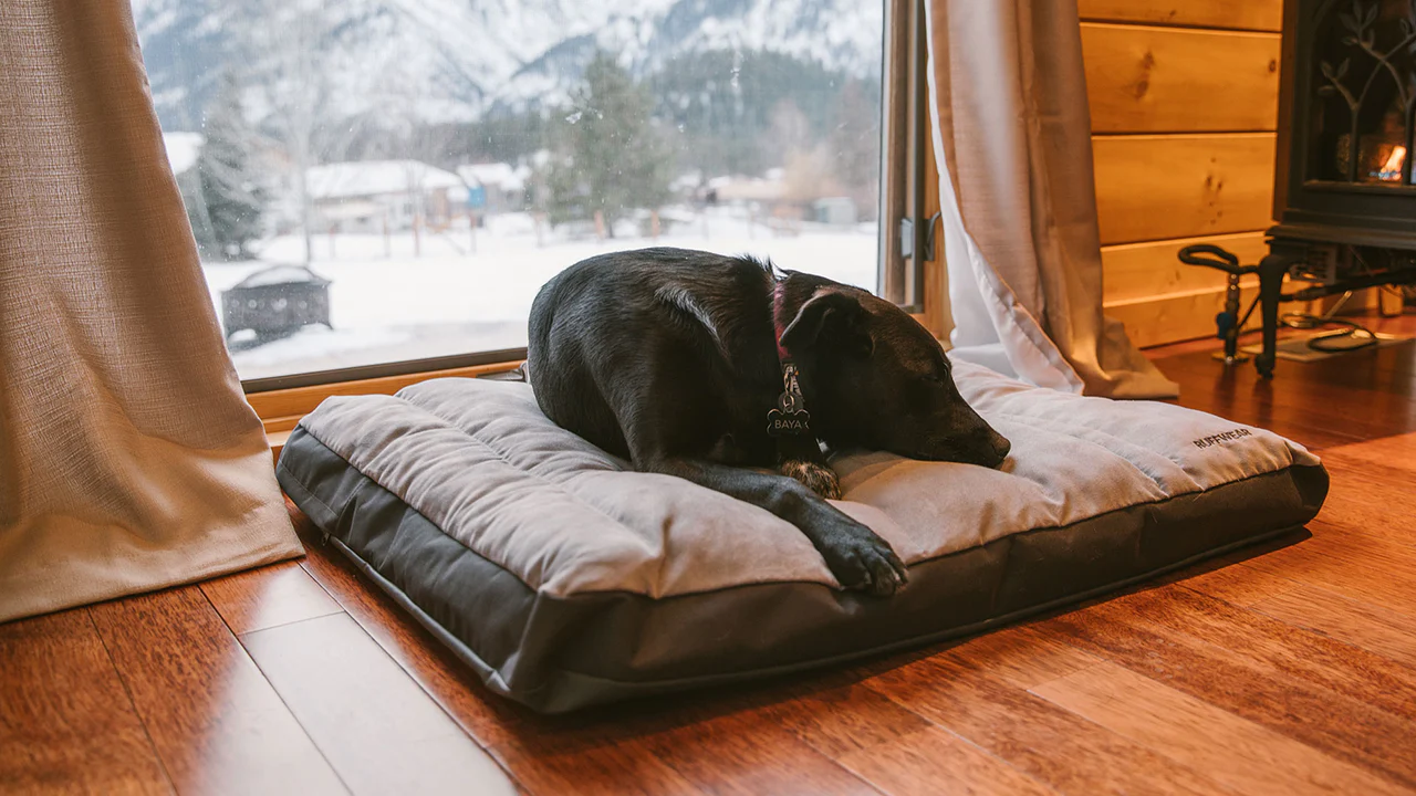 Ruffwear Restcycle Everyday Basecamp Dog Bed