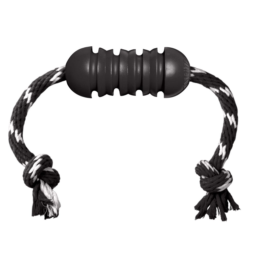 Kong Extreme Dental with Rope Dog Toy