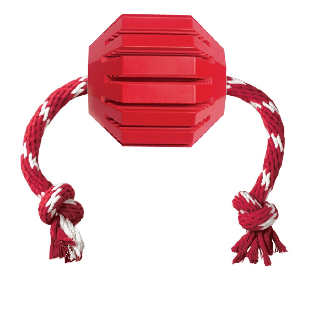 Kong Dental Stuff-A-Ball with Rope Dog Toy