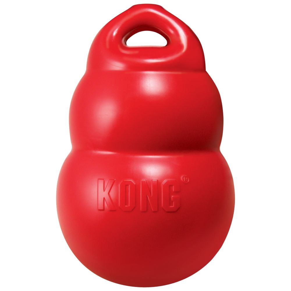 Kong Bounzer Dog Toy