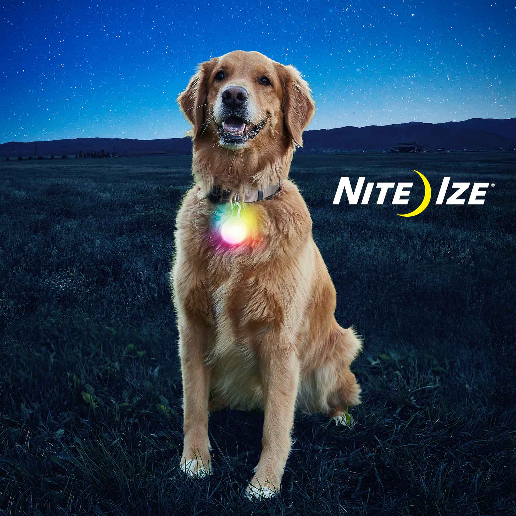 Nite Ize SpotLit Disc-O Select Rechargeable LED Collar Light (2 Sizes)