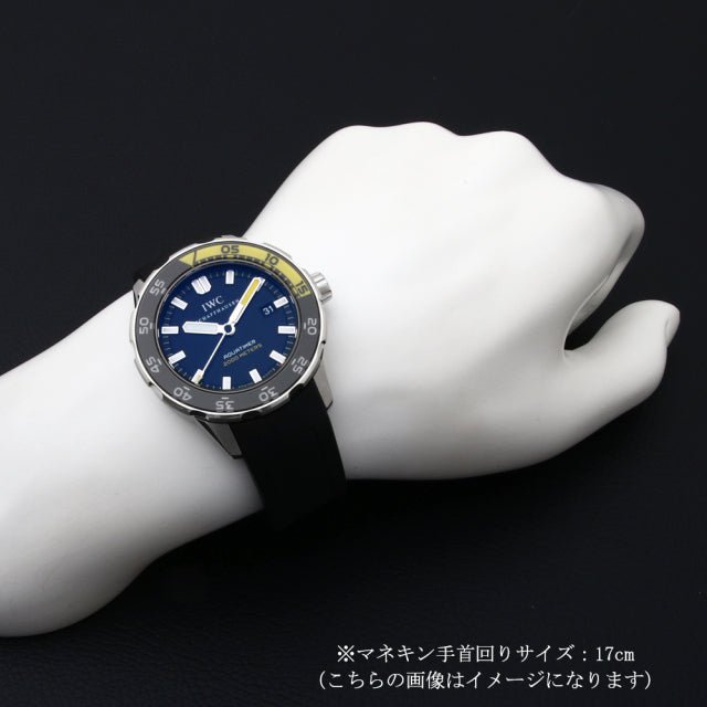 IWC アクアタイマー オートマチック2000 IW356802 - 浦山時計店