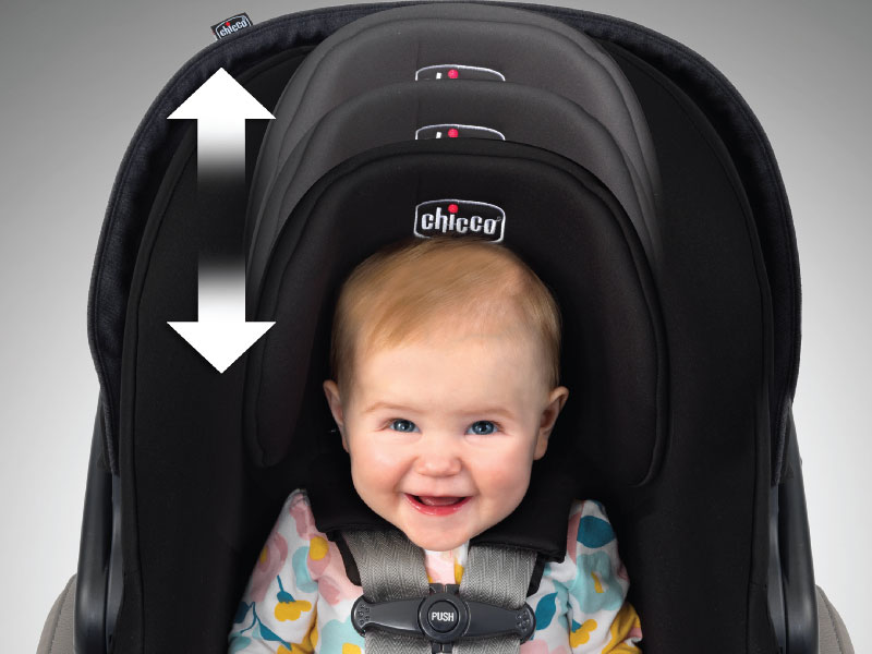 Chicco car seat head insert best sale