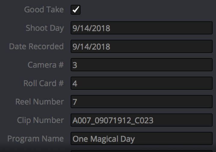 DaVinci Resolve Studio