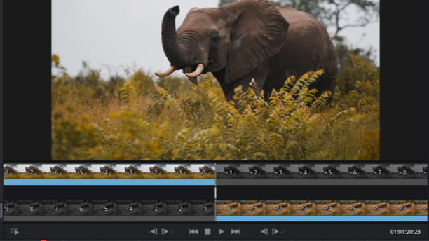 DaVinci Resolve Studio