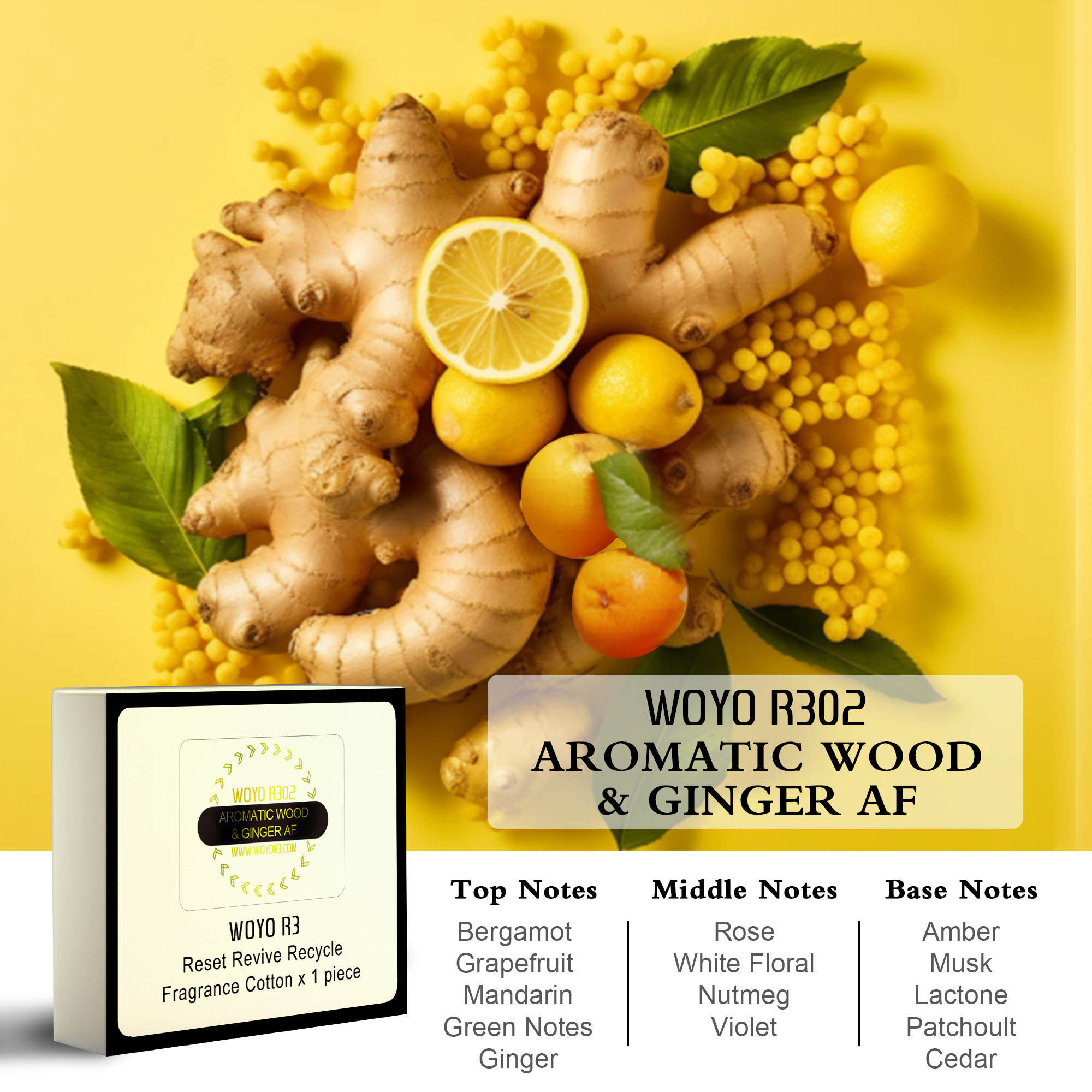 R302 AROMATIC WOOD & GINGER AF