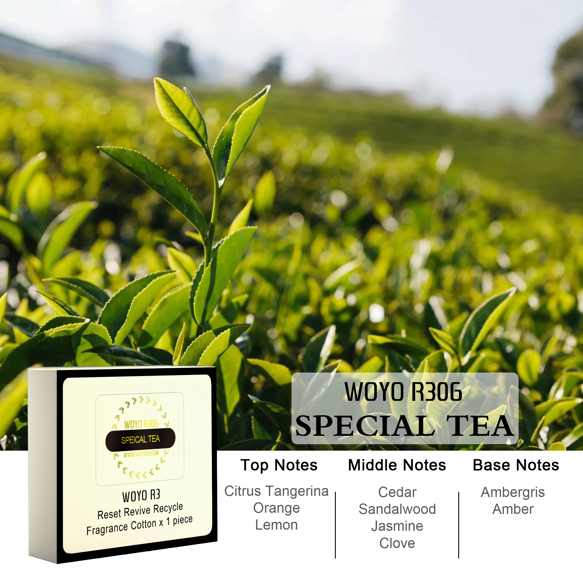 R306 Special Tea