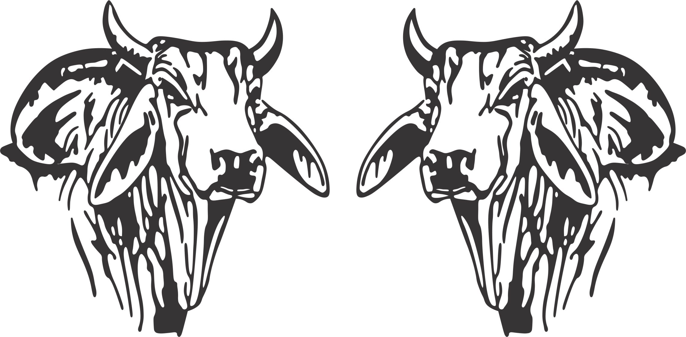 Brahman Bull Head Sticker (Pair)