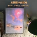 花火を見るⅡ