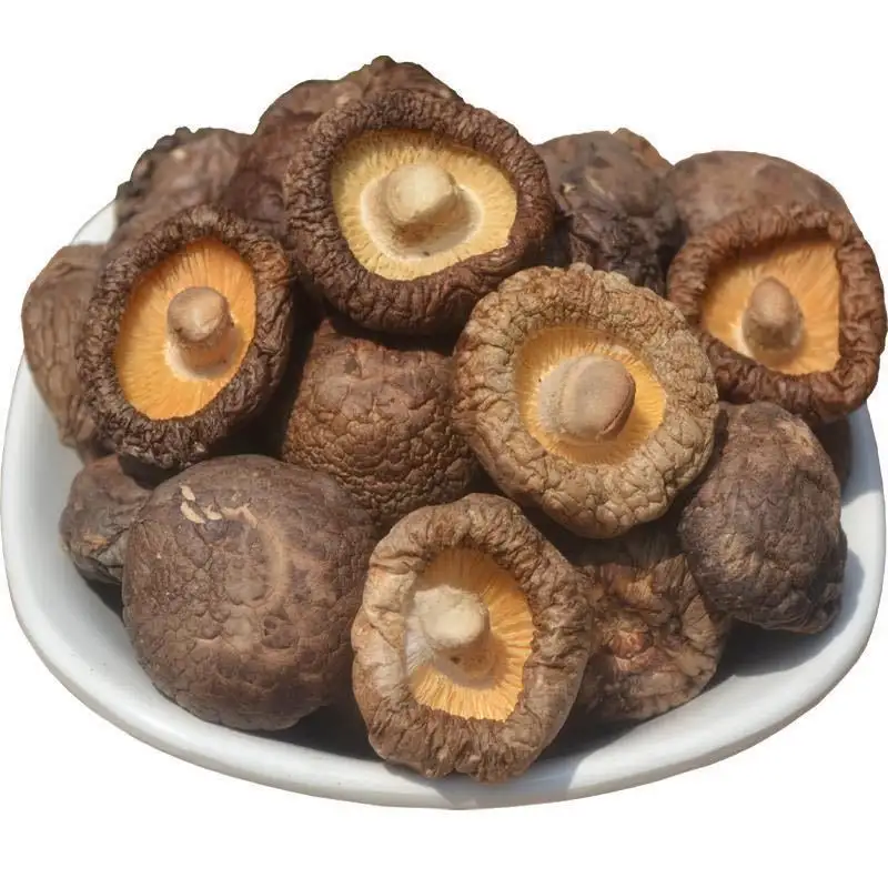 Wholesales Oem Factory Price Dry Shiitake Mushroom Medicinal Mushroom