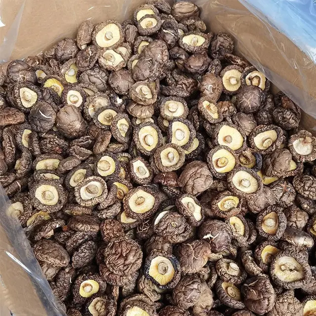 Wholesales Oem Factory Price Dry Shiitake Mushroom Medicinal Mushroom
