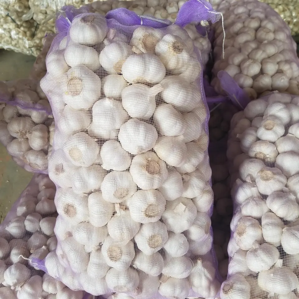 Normal White Garlic Elephant Garlic Fresh Garlic Cloves Price For Sale