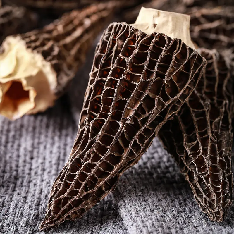 Factory Price Dried Price Morel Mushroom Morchella Mushroom Morel