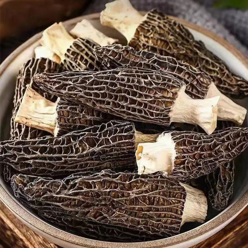 Hot Sale Attractive Price New Type Morel Mushroom Price Morel Mushroom