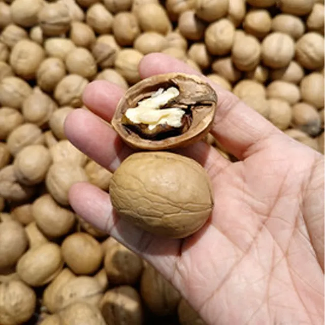 High Quality Dried Walnuts From India For Nutrition Snack Edible Nuts Customized Packaging
