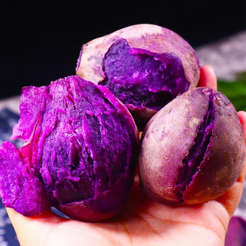 Best Selling Fresh Purple Sweet Potato From China