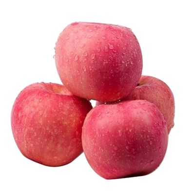 apple fruit fresh from China professional manufacture