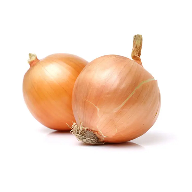 New Session Best Selling Yellow Fresh Onion From China Manufacturer