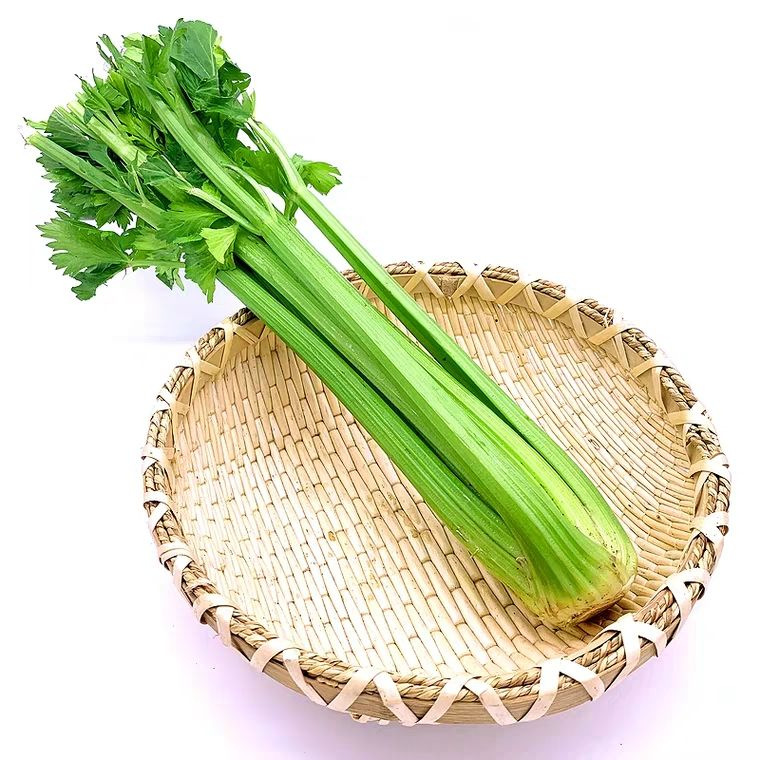 Organic Green Vegetables Celery Factory Low Price Fresh Celery