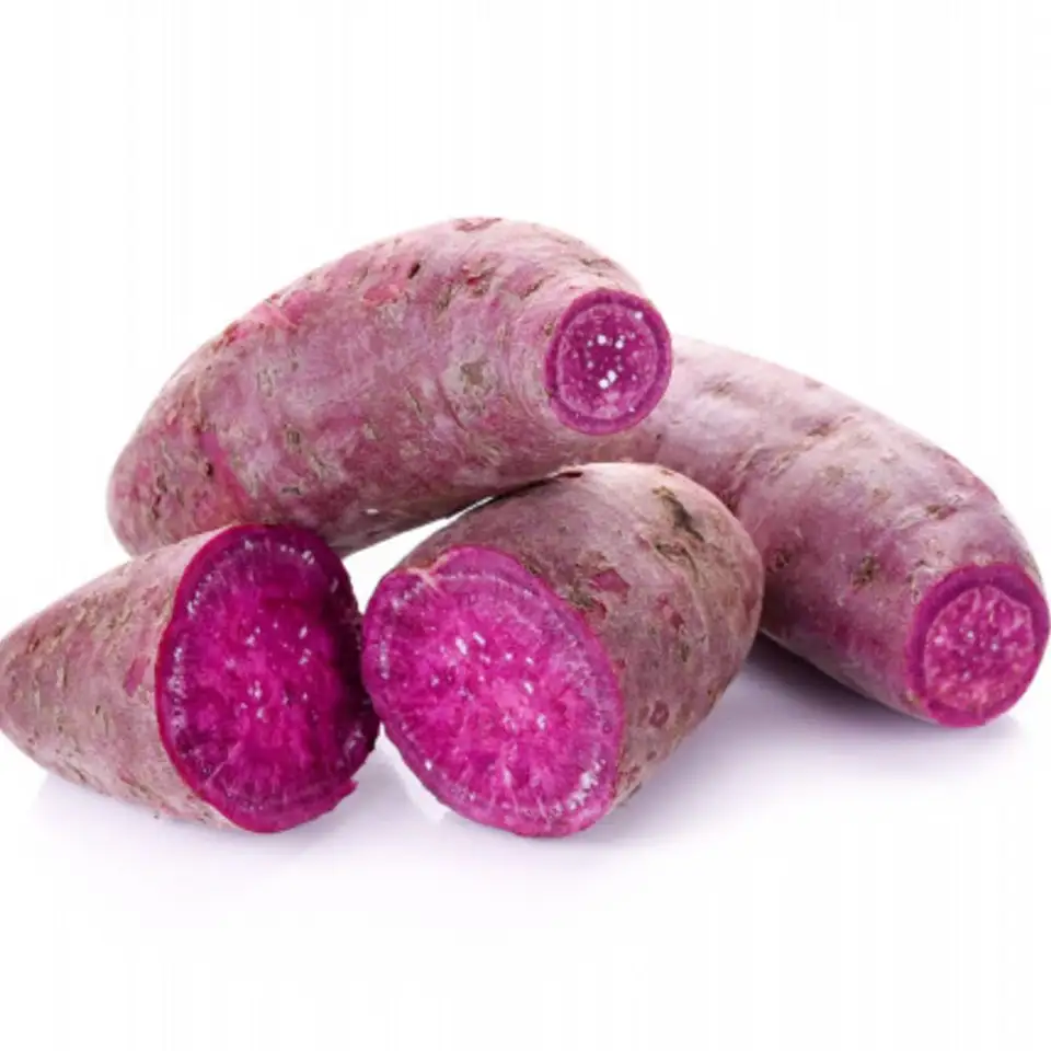 Best Selling Fresh Purple Sweet Potato From China