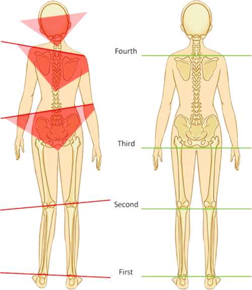 body-img body-img