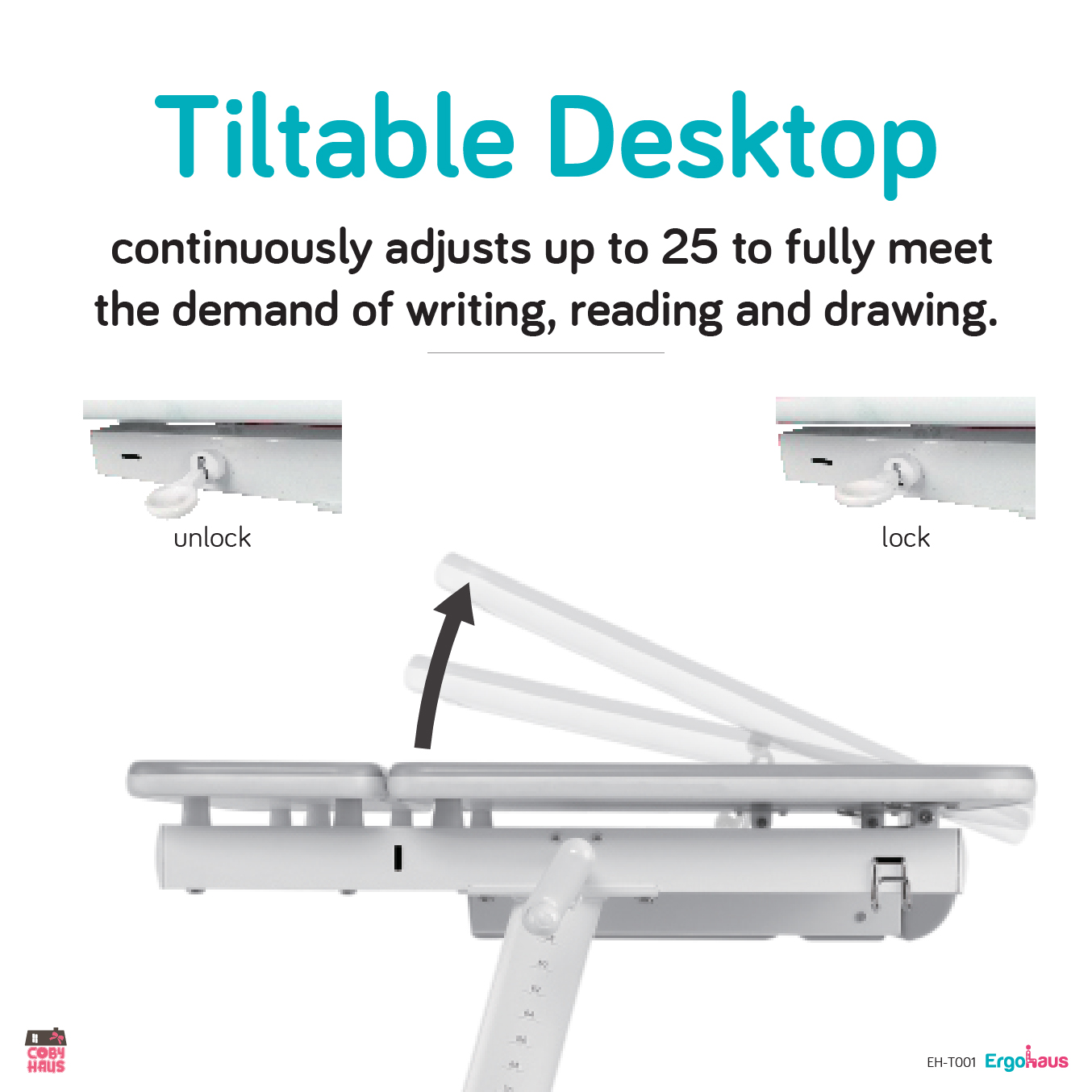 [ErgoHaus] Enlarged Work Surface Desk